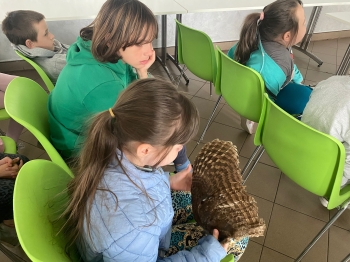 Zdjęcie WhatsApp 2025-05-06 o 14.04.59_03a4613d