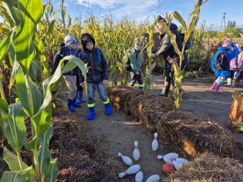 20251009_090309 (Copy)