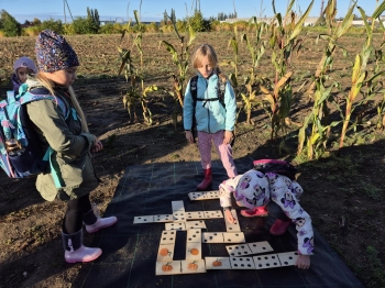 20251009_090352 (Copy)