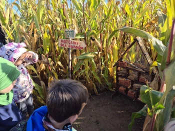 20251009_094613 (Copy)