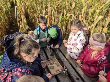 20251009_101924 (Copy)