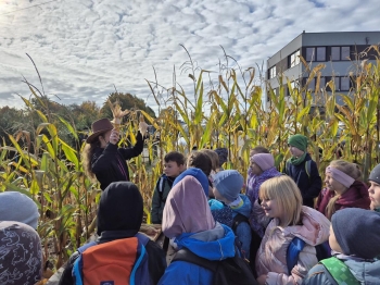 20251009_101710 (Copy)