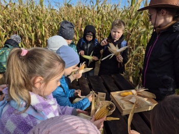 20251009_102012 (Copy)