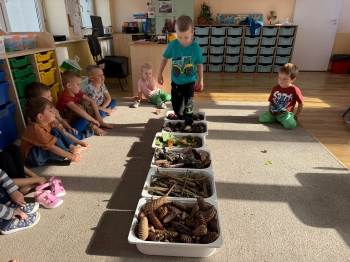 Zdjęcie WhatsApp 2025-10-17 o 11.16.11_46a773f6