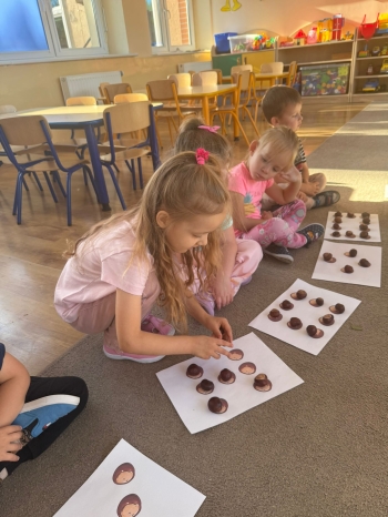 Zdjęcie WhatsApp 2025-10-17 o 11.16.11_7895b2ec