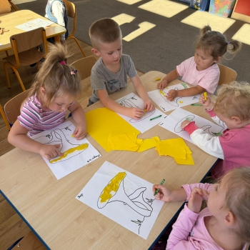 Zdjęcie WhatsApp 2025-10-17 o 11.16.12_49724200