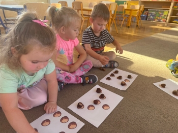 Zdjęcie WhatsApp 2025-10-17 o 11.16.12_f22e8a20