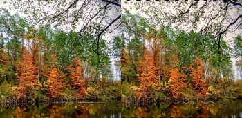 574557191_1240578871424495_805448051698928067_n