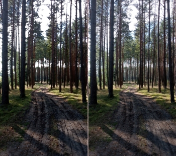 574500534_1240572354758480_5506378540300838231_n