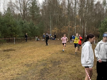 9b08328d-4397-464d-becf-84a0d470d5e7