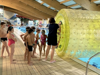 2f6a0c53-5aa4-4096-b419-c0da0ebff086