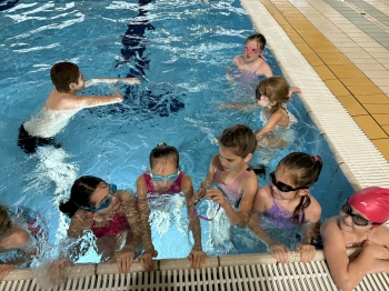 7c876210-a15e-48d9-b8a7-f66bc8239d10