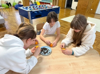 Zdjęcie WhatsApp 2025-12-08 o 15.01.55_98a0b176