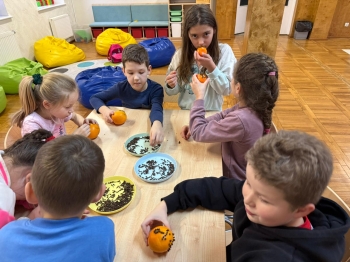 Zdjęcie WhatsApp 2025-12-08 o 15.01.56_8f2b7a24