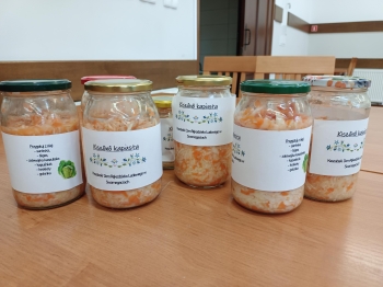 IMG_20260116_110555 (Copy)