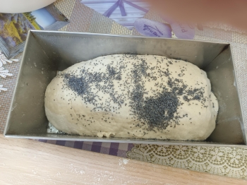 IMG_20260422_112108 (Copy)