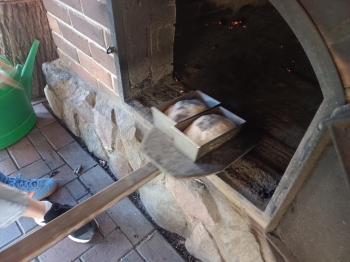 IMG_20260422_113123 (Copy)