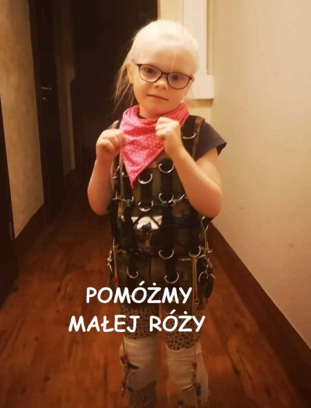 POMÓŻMY MAŁEJ RÓŻY - KIERMASZ STROIKÓW ŚWIĄTECZNYCH I SŁODKOŚCI