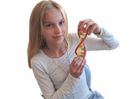 MODELE DNA