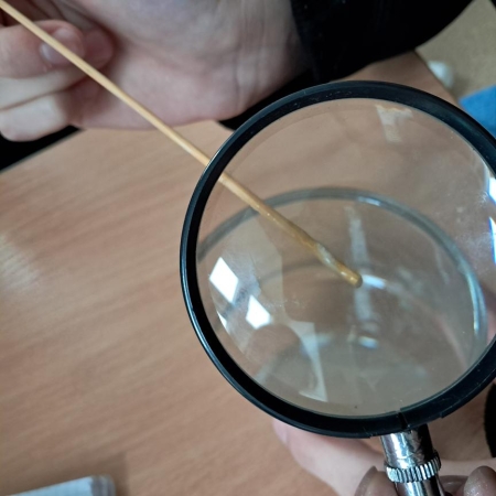 IZOLOWANIE DNA Z OWOCÓW