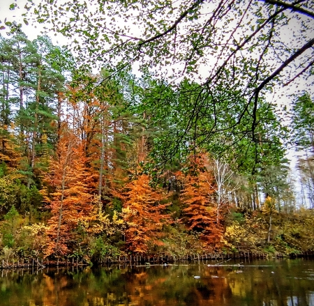 PIĘKNO NASZEJ GMINY NA FOTOGRAFII