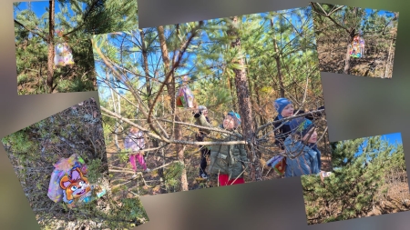 ZAJĄCZKOWE NIESPODZIANKI WŚRÓD SOSEN