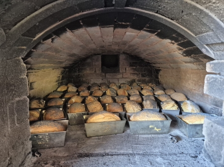 WYJŚCIE Z KLASĄ – WARSZTATY WYPIEKU CHLEBA